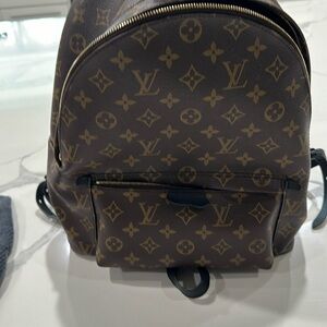Louis Vuitton palm MM